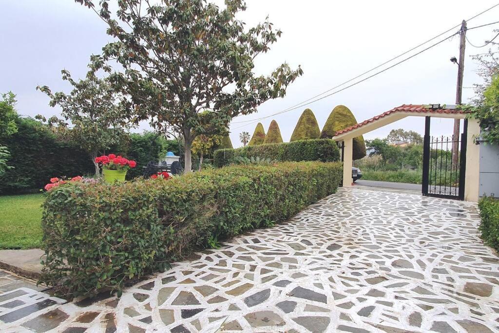 Nea Palatia Vacation Studio Oropos מראה חיצוני תמונה